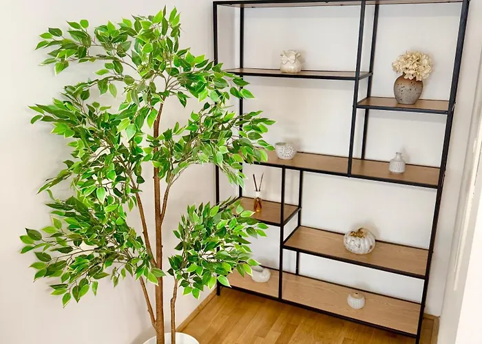 Luxury With Patio - Free Parking Apartment